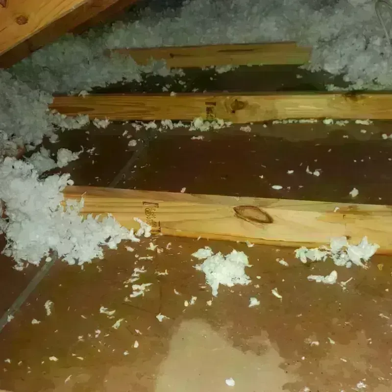 Attic Water Damage in Walbridge, OH